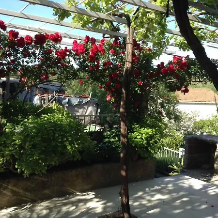 Luce Roses Πανσιόν 3*