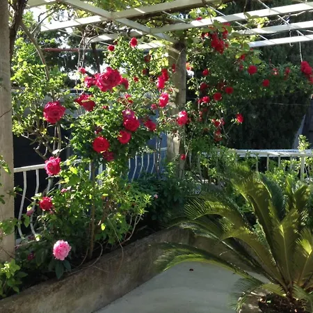 Luce Roses 3* Mlini