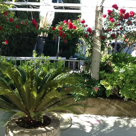 Luce Roses Mlini