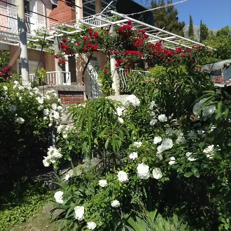 Luce Roses 3*