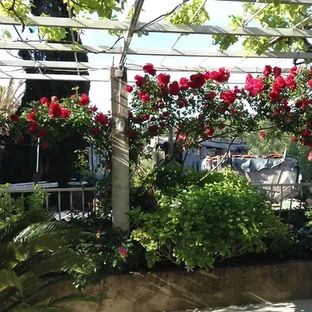 بيت ضيافة Luce Roses 3*