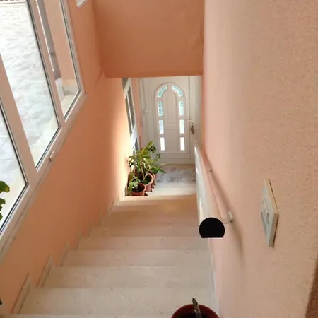 بيت ضيافة Luce Roses